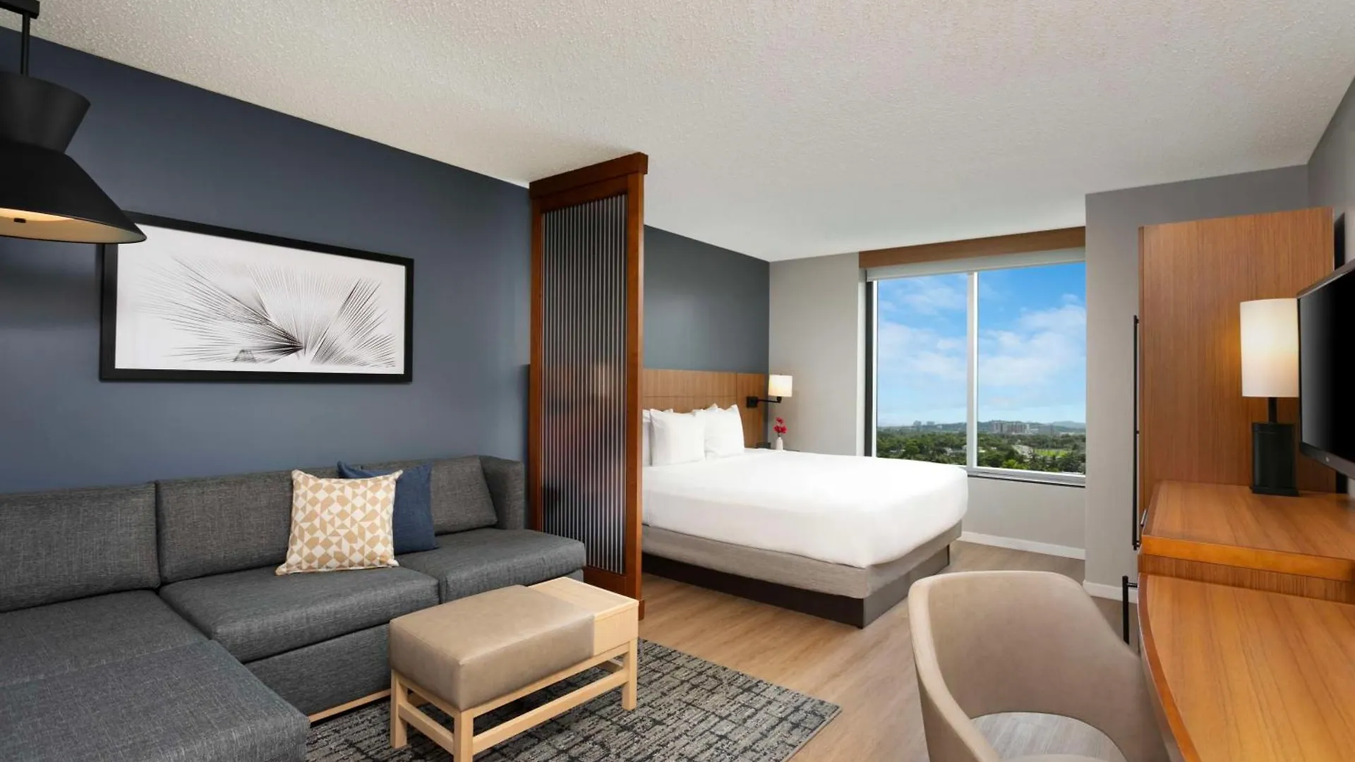 Hotel Hyatt Place Bayamon